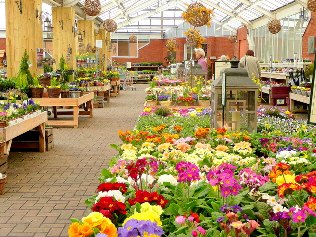 Spring comes to Evesham Garden Centre © Jonathan Billinger :: Geograph ...