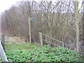 TM3763 : Footpath to Thurlow Close by Geographer