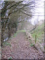 TM3763 : Footpath to Thurlow Close by Geographer