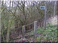 TM3763 : Footpath to Grove Farm & the B1119 Rendham Road by Geographer
