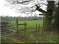 Footpath to Dark Lane