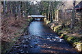 Caddon Water at Blackhaugh farm