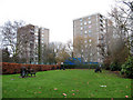 Hornfair Park: picnic area