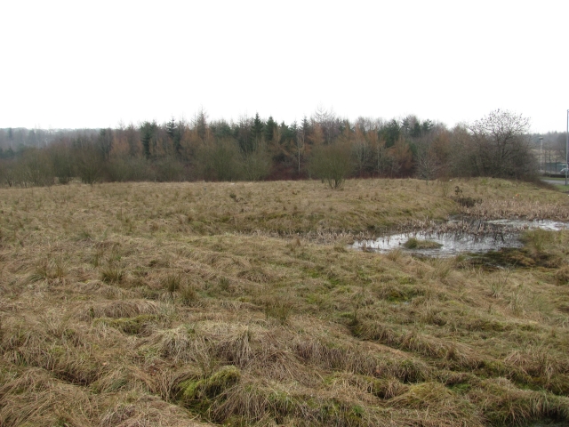 Scrubland by Broadwood Stadium © Richard Webb :: Geograph Britain and ...