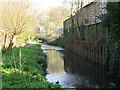 The Pool River south of Meadowview Road, SE6 (6)