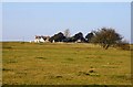 Looking towards the Golf Clubhouse on Minchinhampton Common