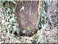 Cut Mark: Gatepost, Ledsham Lane