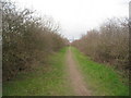 Footpath alongside New Quarry