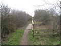 Footpath alongside New Quarry (2)