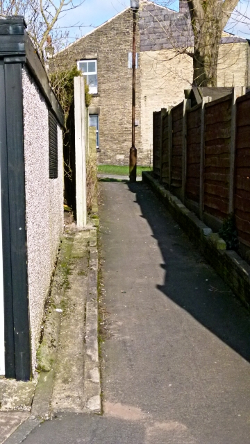 Another Alley