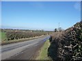 Winter hedgerows, recently cut