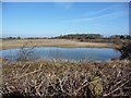 West Silt Lagoon