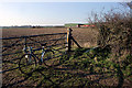 Gate and Bike