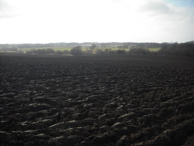 Newly ploughed field