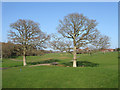 Footbridge, East Sussex National Golf Course