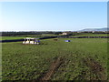 Farmland on the site of the former USAAF 237 Greencastle