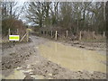 Ifield: Footpath crossing of the River Mole