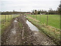 Ifield: Footpath and farm track to Ifield Court