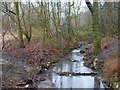 Trough Brook, Ringwood Park