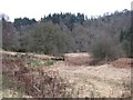 Scrubland beneath the A93