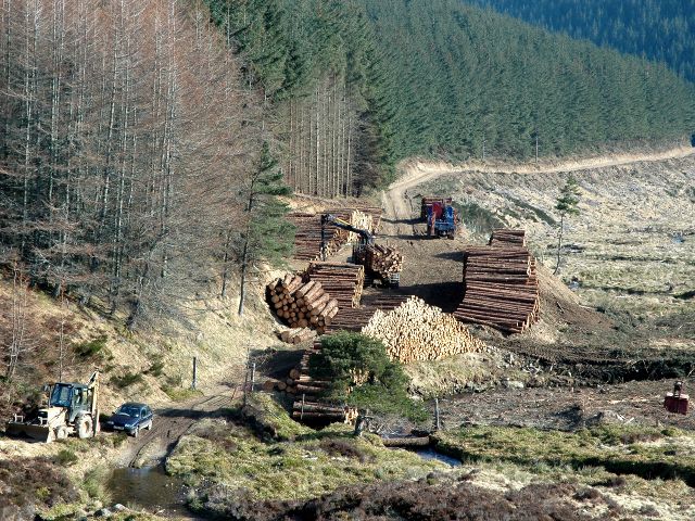 Timber Operations in Glen Laff