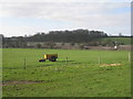 View across the railway to Low Wood