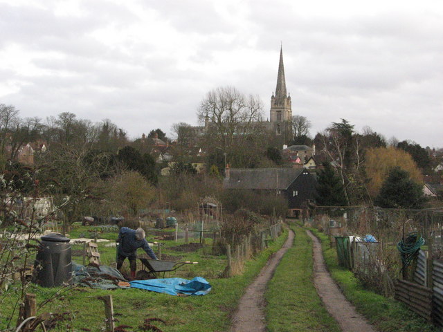 Windmill Hill Allotments