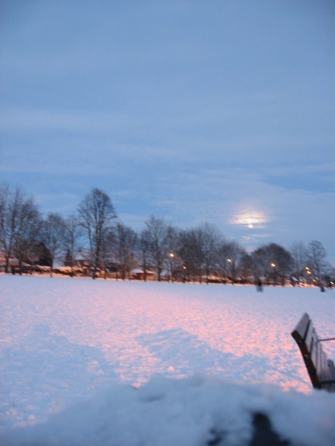 The Moon over The Common