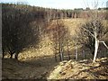 Source of Stoneywood Burn