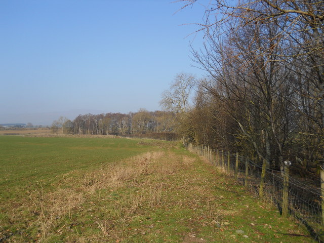 Fields near the River Eden