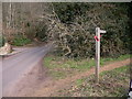 Bridleway off Sheephatch Lane