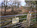 Bridleway on Farnham Heath Nature Reserve