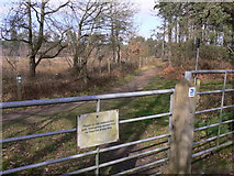 SU8543 : Bridleway on Farnham Heath Nature Reserve by Shazz