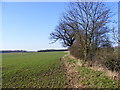 Footpath to South Manor Lane