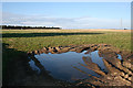 A Wet Field near Toreduff