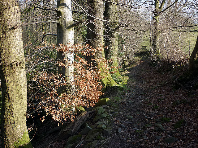 The path above Hall Beck near Killington