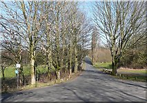 SD8531 : Deer Park Road, Burnley by Humphrey Bolton