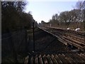 Looking south along the railway at Peasmarsh