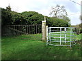 Two Metal Gates