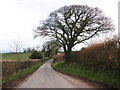 Minor road, near Rooks Castle Farm