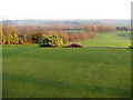 Sitwell Park Golf Club