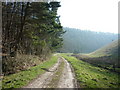 Up Deep Dale towards Mingledale Plantation