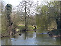 River Wey by Byfleet Mill