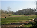 Woodlands, golf course