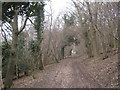 Bridleway in Charters Copse (2)