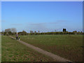 Footpath to The Dingles