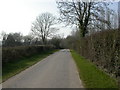 Woodlands, bridleway