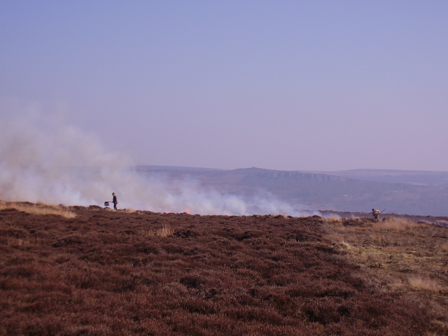 Burning heather on Offerton Moor