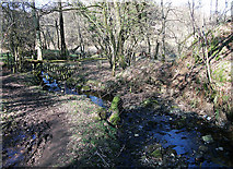 SD5644 : Tributary of the River Brock by michael ely