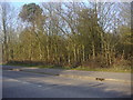 Gerrards Cross Common from the A40